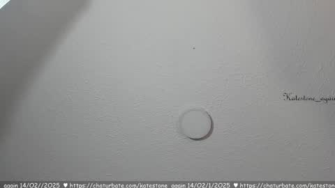 Snapshot of katestone_again chatting on 02-14-25, 07:44 love meeee online show from 02-14-25, 07:44