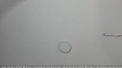 Snapshot of katestone_again chatting on 02-19-25, 02:12 love meeee online show from 02-19-25, 02:12