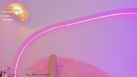 Katy  IGPeach kat666 online show from 12-21-24, 04:25