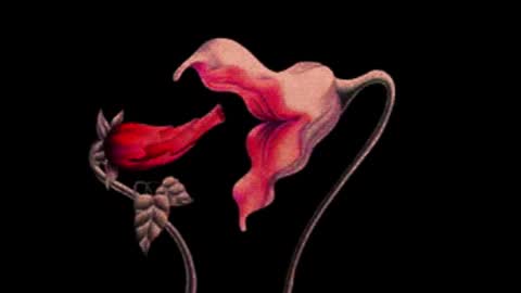 Snapshot of katsurotaro chatting on 11-14-25, 09:24 katsuro online show from 11-14-25, 09:24