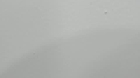 katy blonde girl and paola big boobs online show from 01-17-25, 01:47