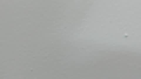 katy blonde girl and paola big boobs online show from 02-18-25, 08:03