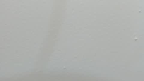 katy blonde girl and paola big boobs online show from 02-26-25, 07:38