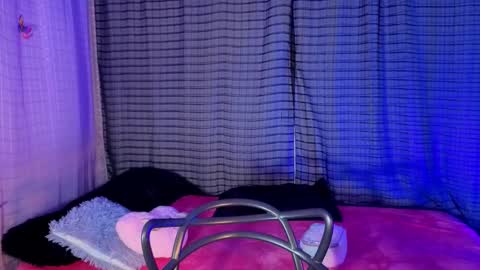 Snapshot of kayleemorales chatting on 11-19-25, 07:14 Kaylee online show from 11-19-25, 07:14