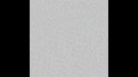 Kay Pup online show from 11-19-25, 09:31