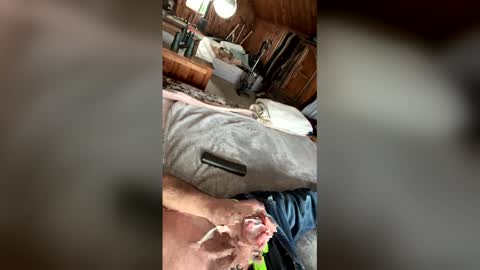 Snapshot of kckc40000 chatting on 01-14-26, 07:19 kckc40000 online show from 01-14-26, 07:19