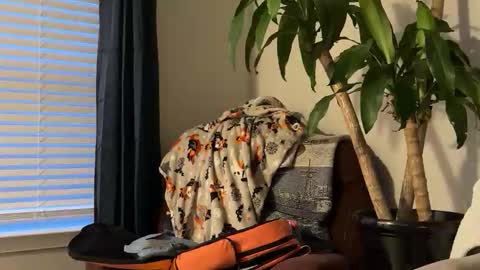 Snapshot of keaton2487 chatting on 10-17-25, 10:56 Keaton Keller online show from 10-17-25, 10:56