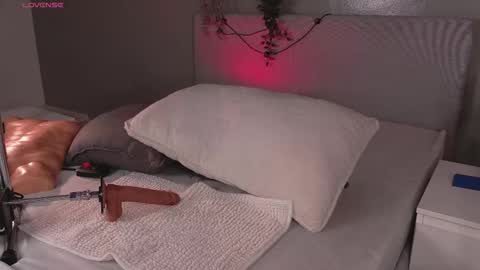   online show from 03-01-26, 11:34