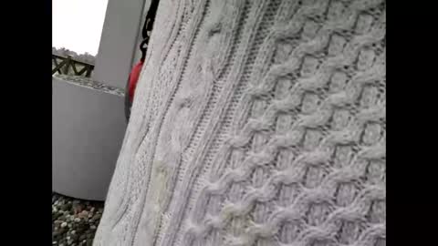 Snapshot of kenhiking chatting on 02-19-26, 05:25 kenhiking online show from 02-19-26, 05:25