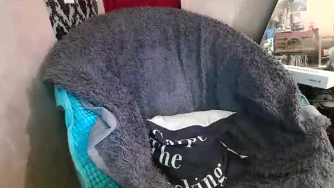 Kennedy Nova  online show from 12-20-25, 09:22