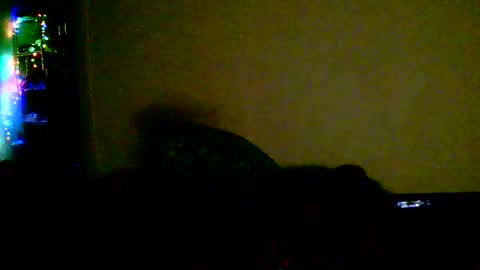 Snapshot of kev_crew25 chatting on 02-18-26, 01:45 kev online show from 02-18-26, 01:45