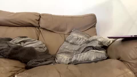 kevfromchat online show from 01-08-25, 01:31