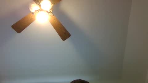 kevinj6969 online show from 11-19-25, 04:18