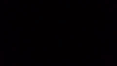 Frankie online show from 11-01-25, 08:49