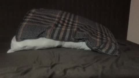 kiki3526 online show from 03-12-26, 08:48