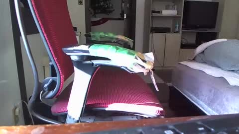 kinchan069 online show from 12-26-24, 03:59