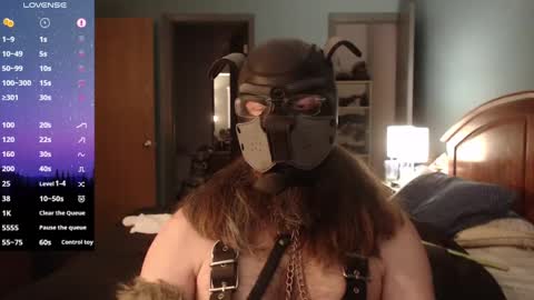 kinkywolf87 online show from 02-03-25, 09:39