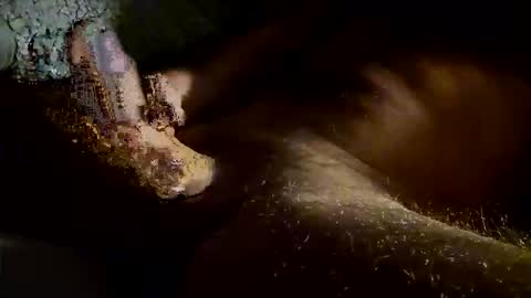 Snapshot of kitkat_loco1 chatting on 11-04-25, 07:40 Kitkat loco online show from 11-04-25, 07:40