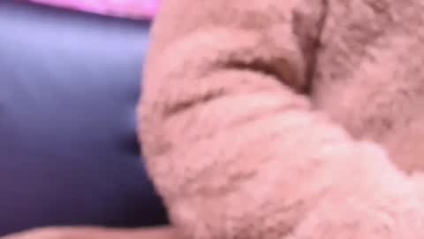 Snapshot of kitty_malach chatting on 10-23-25, 02:22 Kitty online show from 10-23-25, 02:22