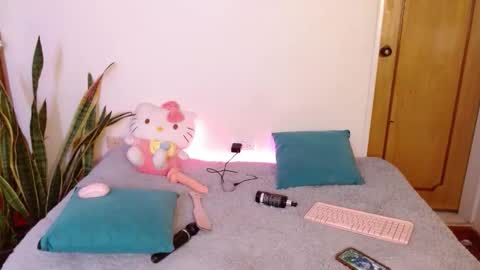 Snapshot of kittycatw chatting on 02-10-26, 05:55 LAURA help me reach 100likes online show from 02-10-26, 05:55