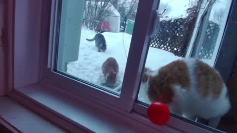 kiveuxmakeu online show from 12-27-24, 09:11