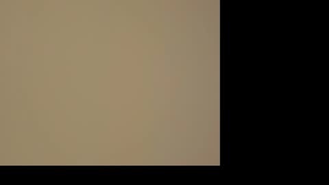 kiwi_mmm online show from 01-10-25, 06:49