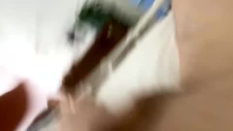 klimt2525 online show from 01-12-26, 02:11