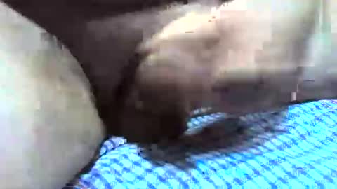 klok8230 online show from 12-16-25, 02:38