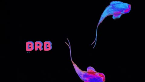 knowlita  online show from 03-06-26, 08:27