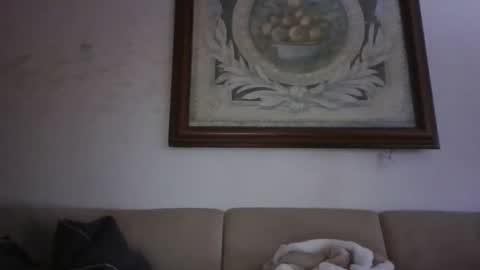 kobolt67 online show from 02-24-26, 03:43