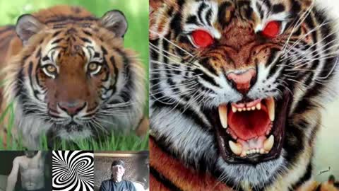 Snapshot of kodiakpm1 chatting on 02-01-25, 07:15 kodiakpm1 online show from 02-01-25, 07:15