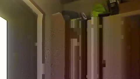 kokin3034 online show from 10-08-25, 04:43