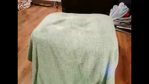 Snapshot of kotek400 chatting on 01-30-25, 08:10 kotek400 online show from 01-30-25, 08:10