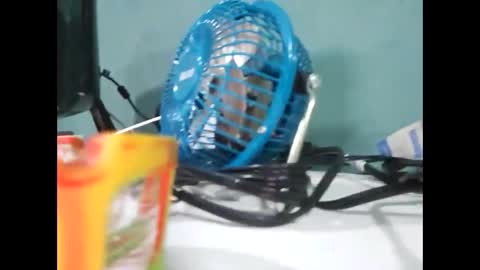 Snapshot of koto420 chatting on 12-31-24, 03:01 Koto Bombon online show from 12-31-24, 03:01