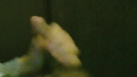 kren565656 online show from 10-20-25, 08:26