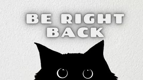   online show from 02-08-26, 03:43