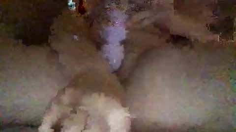 Snapshot of kylie69sm chatting on 02-27-26, 03:06 kylie online show from 02-27-26, 03:06