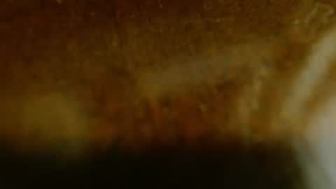 la teaser online show from 11-20-25, 01:17