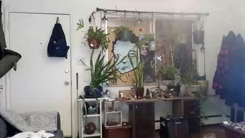 lacybell online show from 03-02-25, 03:45