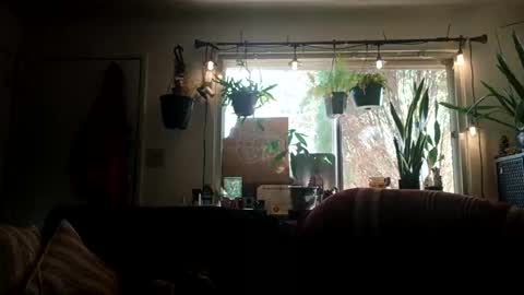 lacybell online show from 09-21-25, 10:11