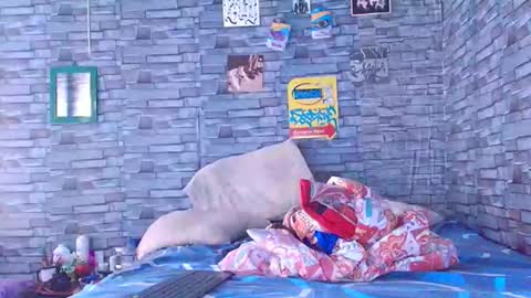 Snapshot of lady_godss chatting on 12-01-25, 07:08 Lady godss online show from 12-01-25, 07:08