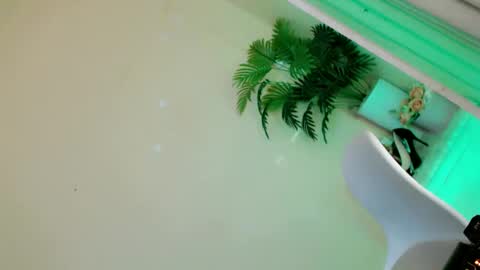 Snapshot of lady_in_black18 chatting on 09-28-25, 10:26 Stella online show from 09-28-25, 10:26