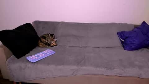 Snapshot of ladytrep chatting on 01-31-26, 07:56 LadyTrep online show from 01-31-26, 07:56