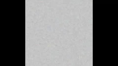 Snapshot of lahurent_weed420 chatting on 11-12-25, 10:04 paola and a guest lol online show from 11-12-25, 10:04