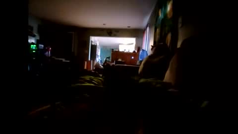 lambofgod90_ online show from 11-24-25, 03:34