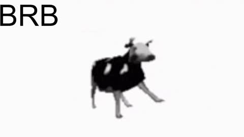 just call me Lana  and her security online show from 01-25-25, 11:13