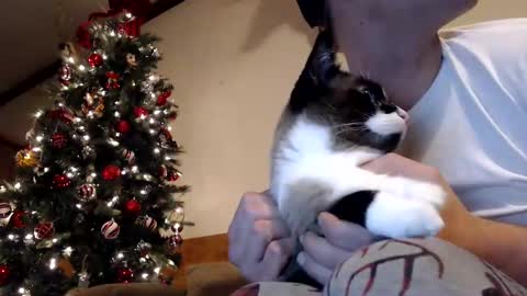 Snapshot of lancehardin chatting on 12-30-24, 01:04 Lance online show from 12-30-24, 01:04