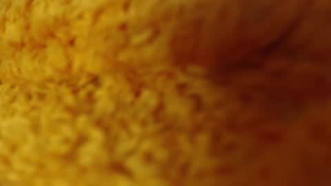 laralhotr online show from 12-27-24, 01:11