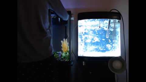 latinlover513 online show from 01-28-25, 07:32