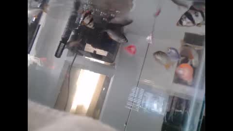 latinlover513 online show from 03-02-25, 10:16